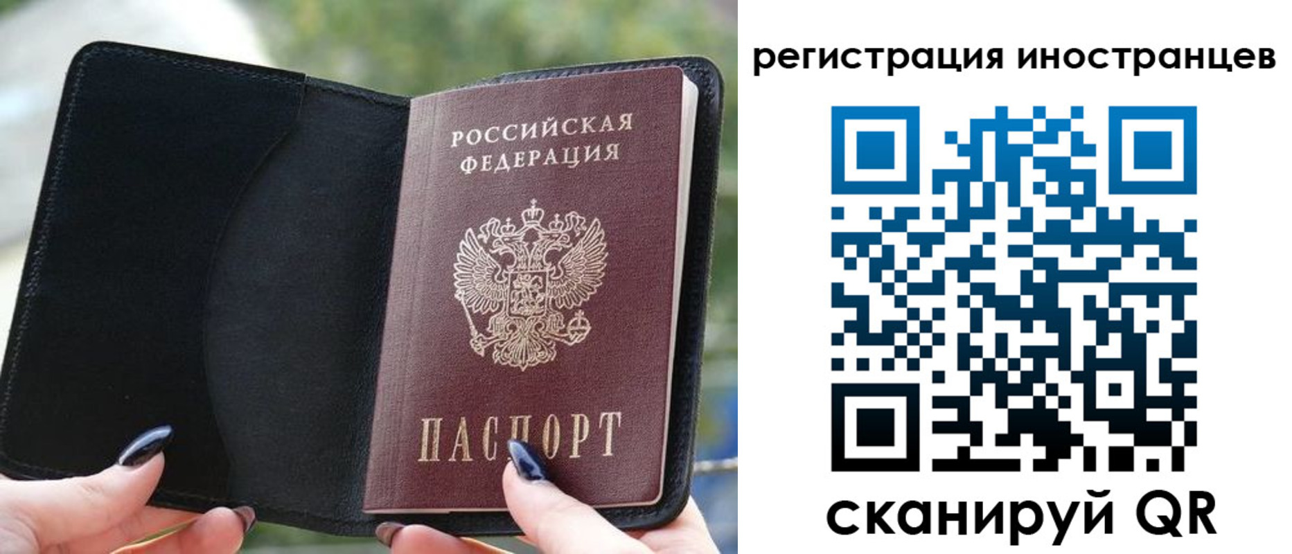 найти адрес прописки в Шуе